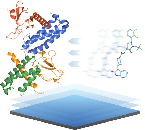 Accutar Biotech