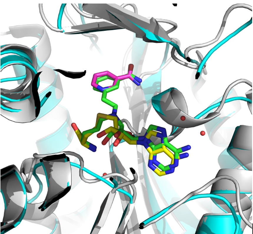 Accutar Biotech